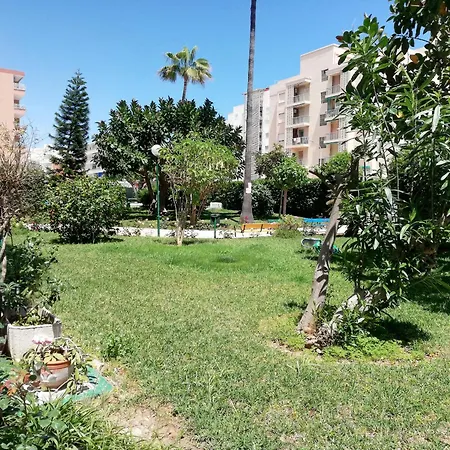 Cantabria Solo Familias Serviplaya Playa de Gandia
